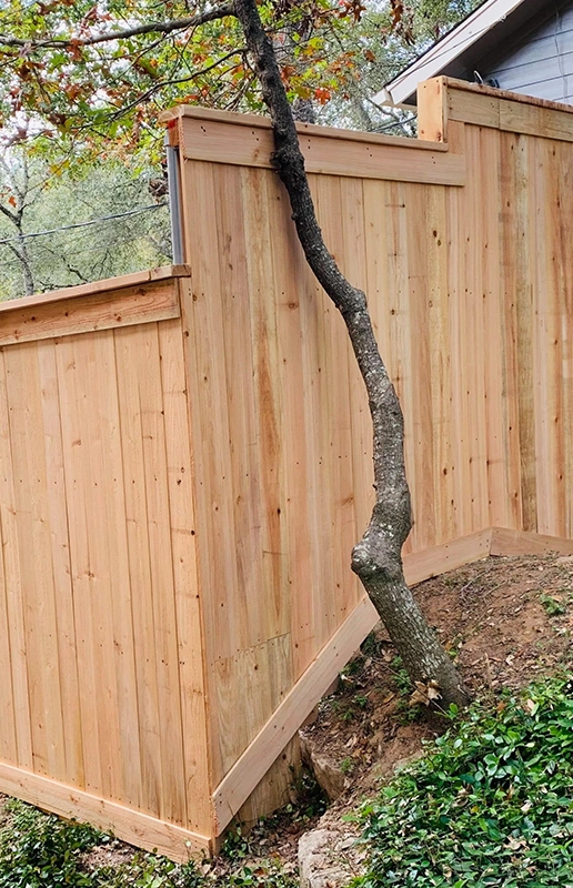 Wooden Fence with Tree Trunk Passing Through in Fairfield CA