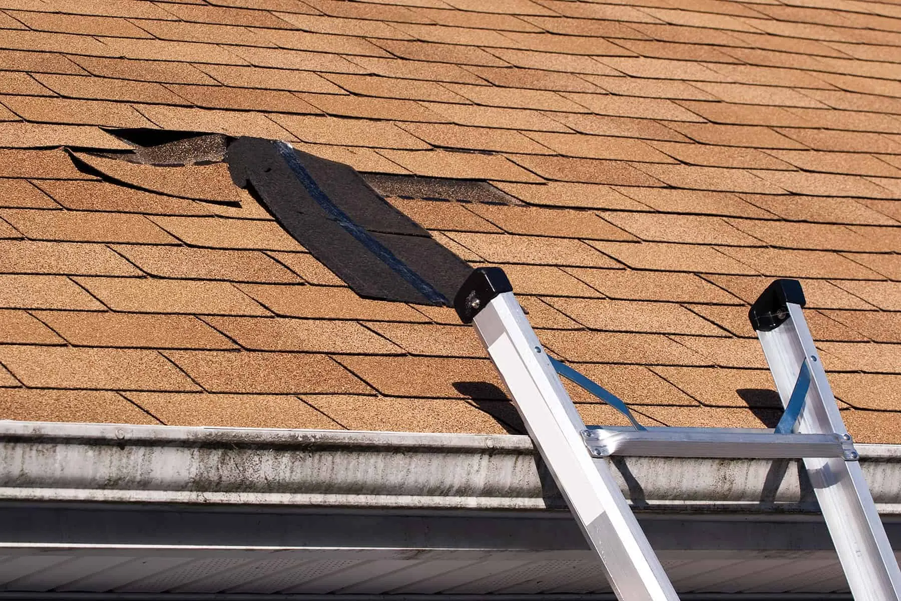 Damaged Roof Shingles Next to Ladder on House Roof